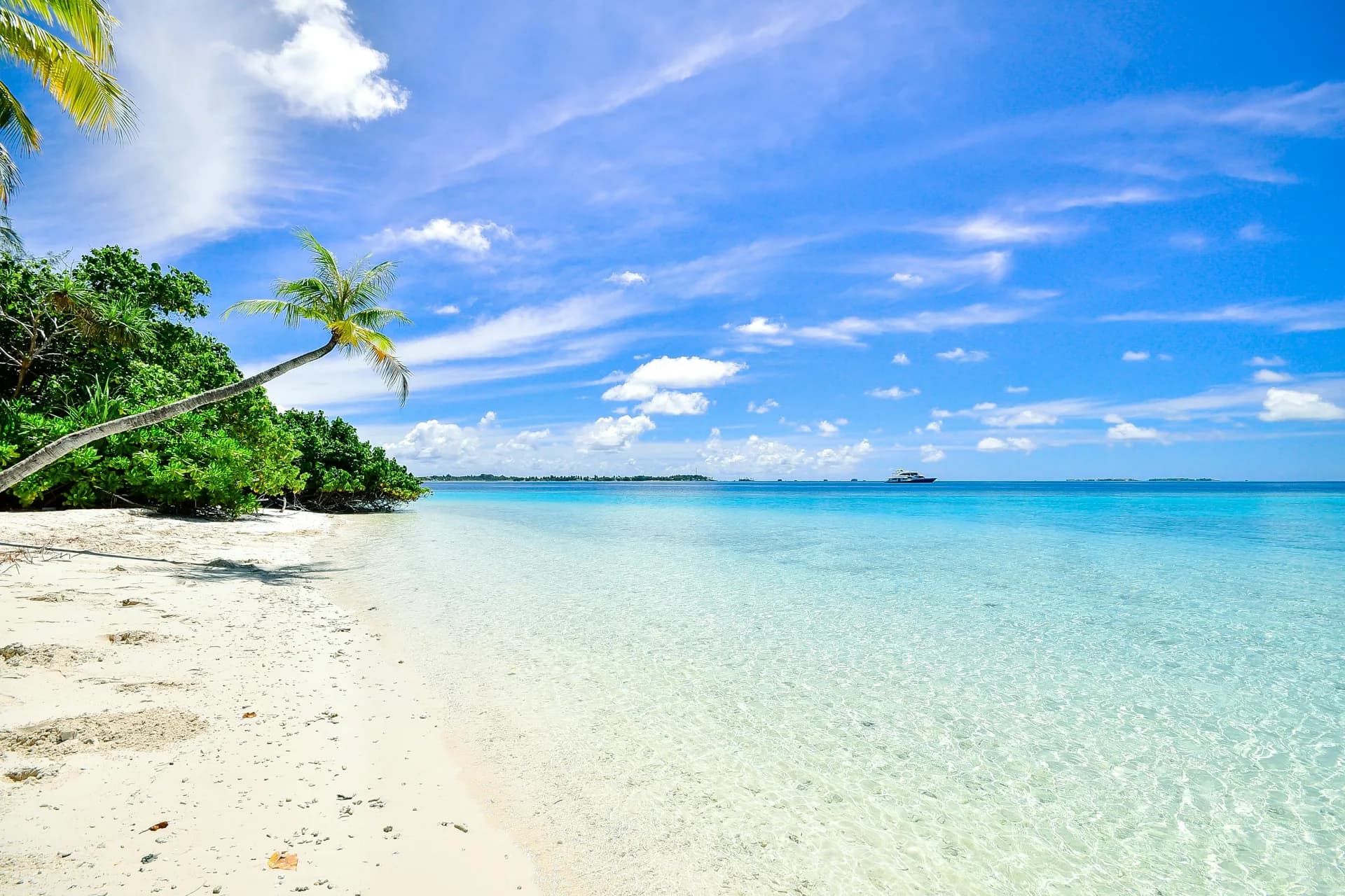 Caribe