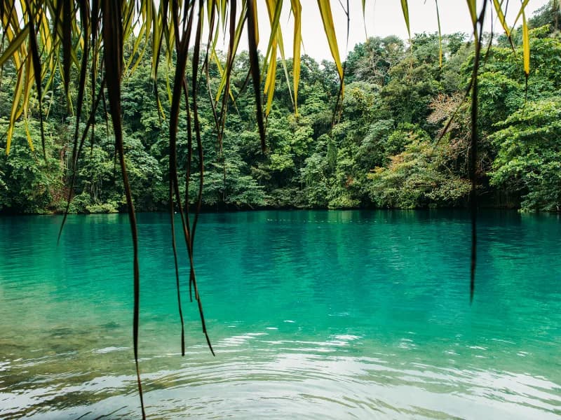 Jamaica