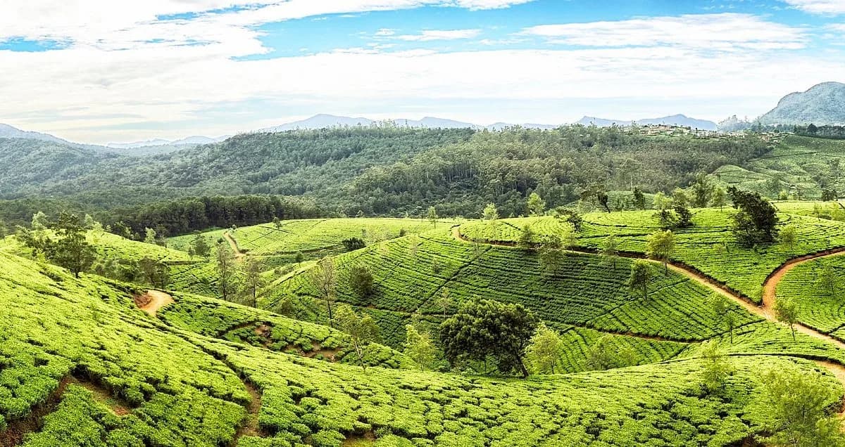 Sri Lanka