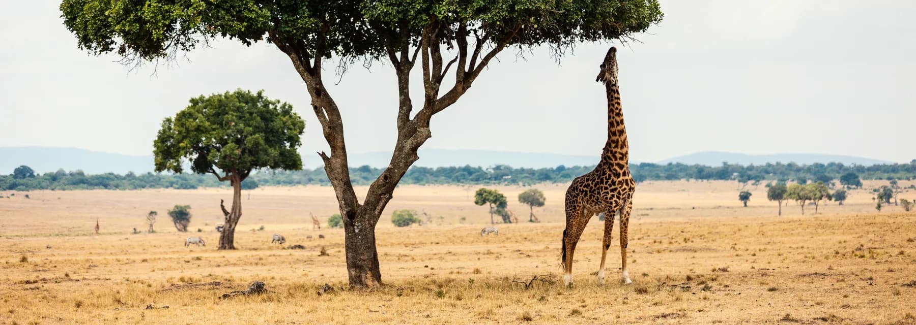 África do Sul: Uma Jornada de Contrastes e Belezas Naturais