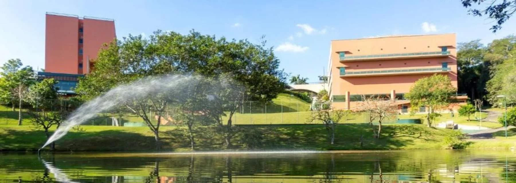 Almenat Embu das Artes Tapestry Collection by Hilton