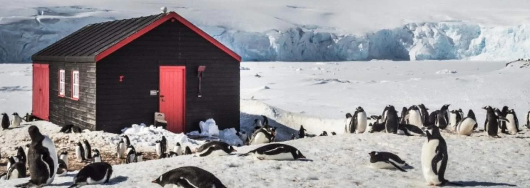 Antártica - Basecamp