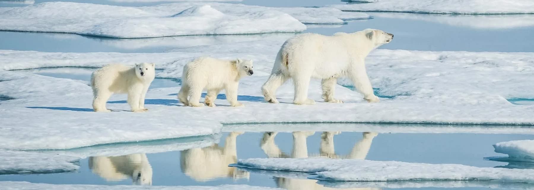 ANTÁRTICA - Viagem de Descoberta e Aprendizado