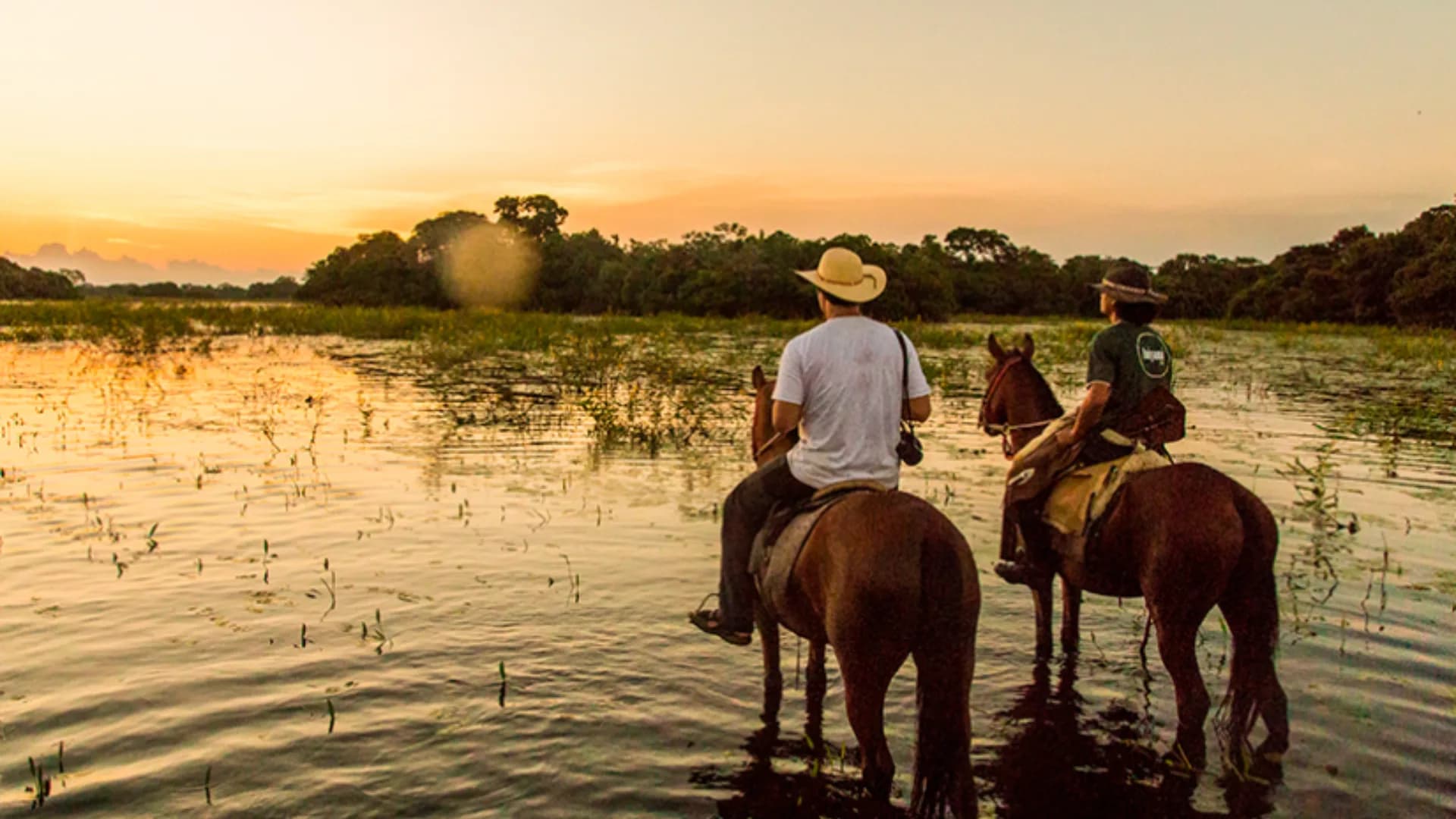 Bonito e Pantanal Sul