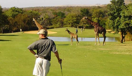 África do Sul - GOLF SAFARI-DE PRETORIA A PRETORIA – 10 dias e 09 noites