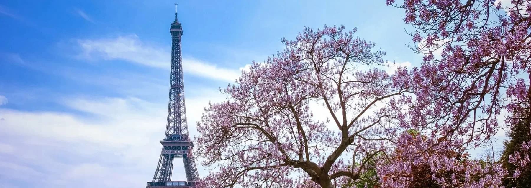 Europa - Impressões do Sena e de Paris ( Rio Sena)