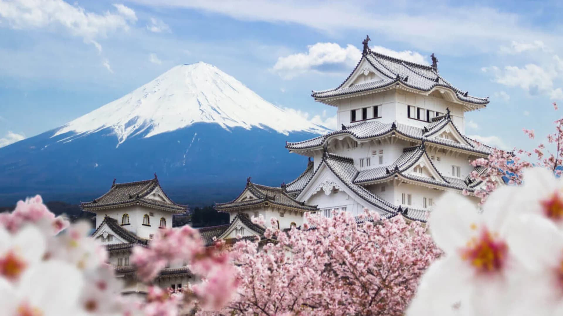 Japão dos Samurais: Uma Jornada pela Honra e Tradição