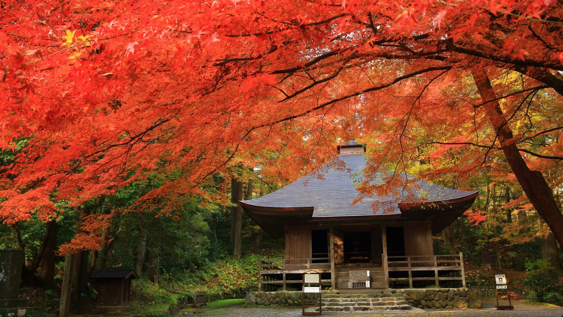 Japão Espiritual: A Jornada Sagrada pelo Caminho de Kumano