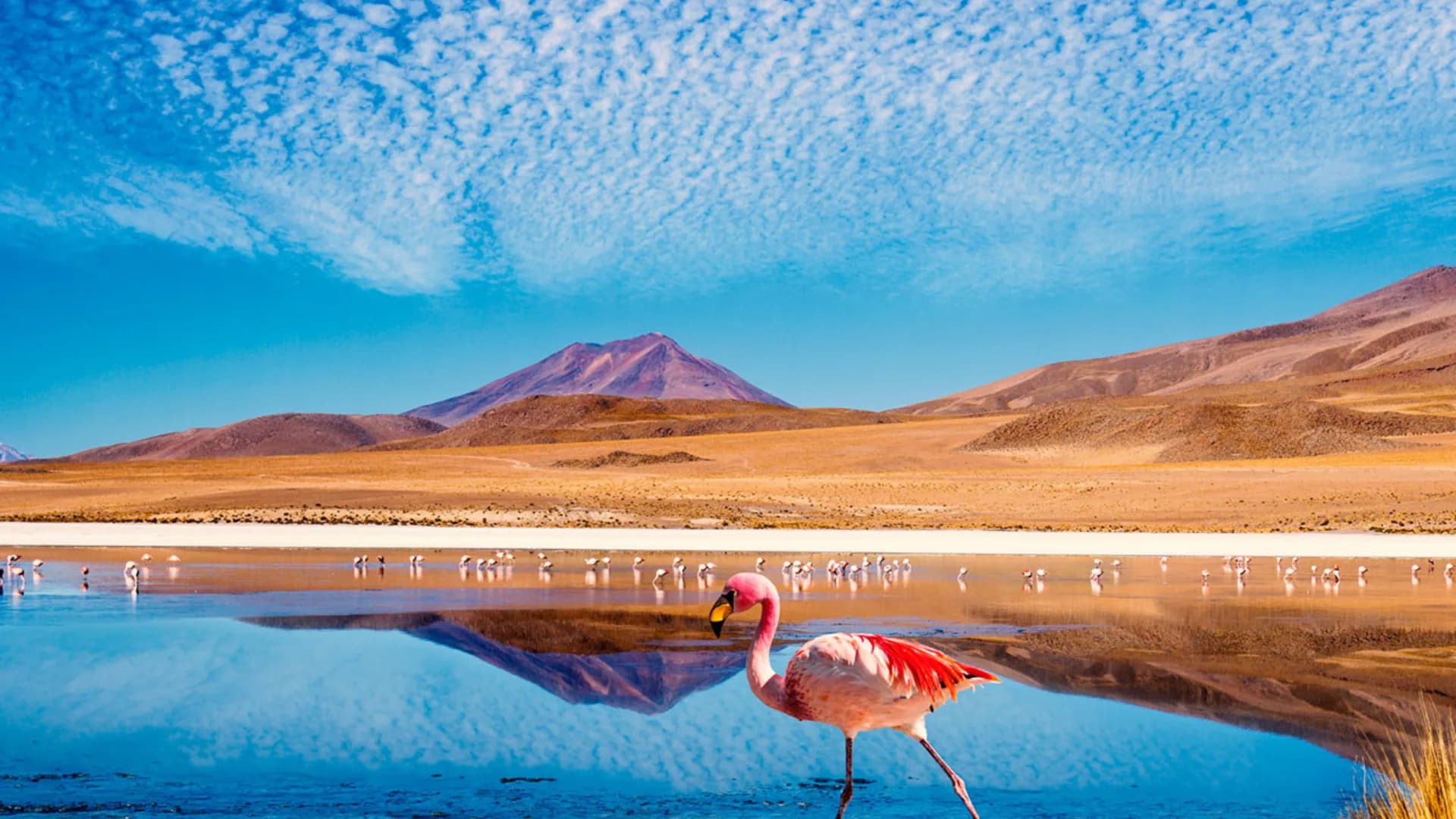 SAN PEDRO DO ATACAMA